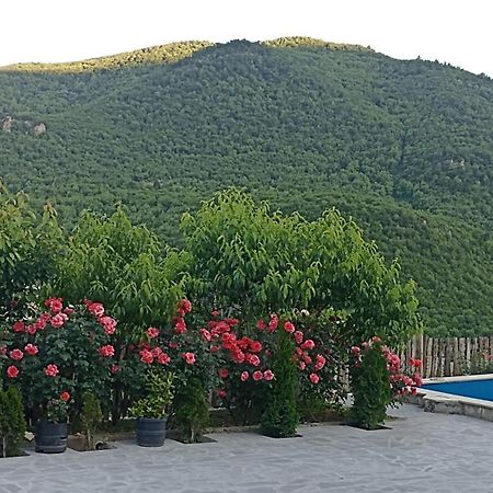 Green Garden Կանաչ Այգի 伊杰万 外观 照片