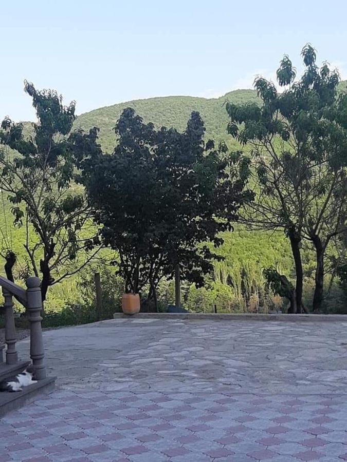 Green Garden Կանաչ Այգի 伊杰万 外观 照片