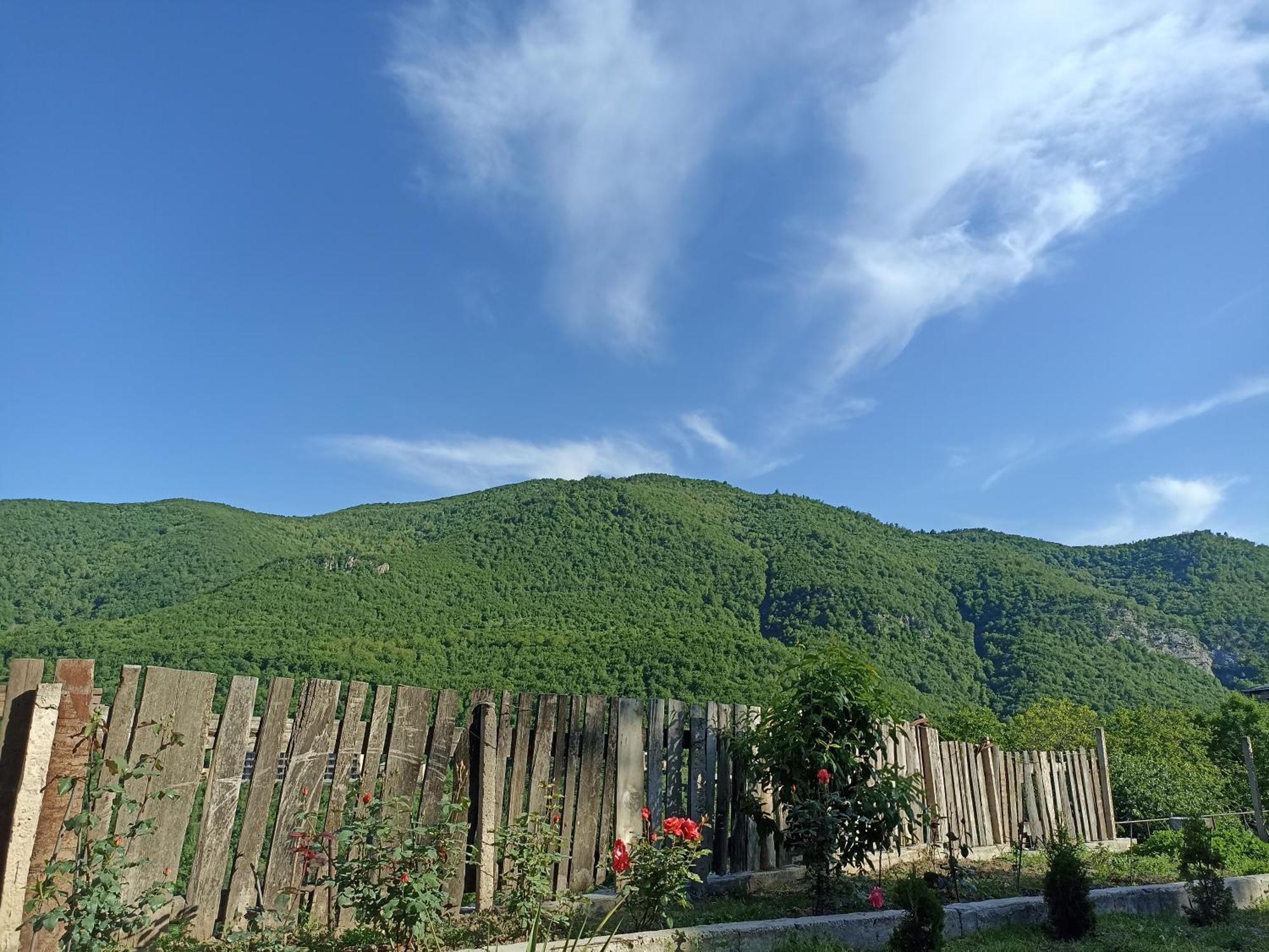 Green Garden Կանաչ Այգի 伊杰万 外观 照片