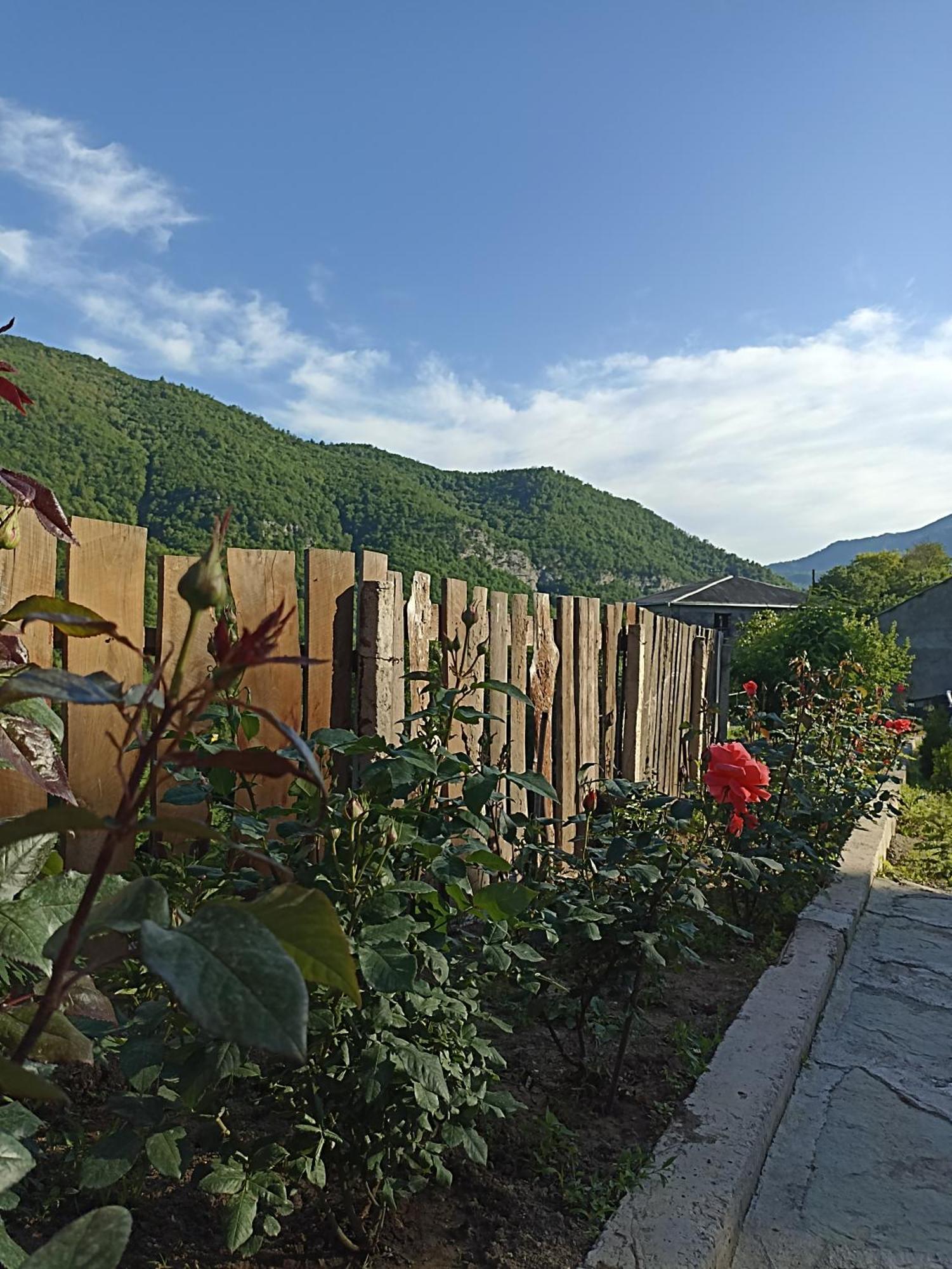 Green Garden Կանաչ Այգի 伊杰万 外观 照片