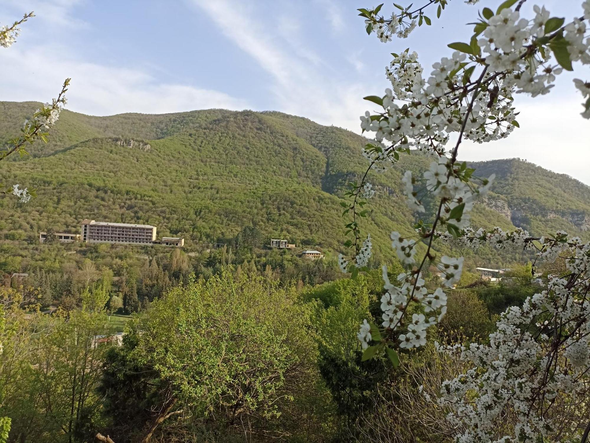 Green Garden Կանաչ Այգի 伊杰万 客房 照片